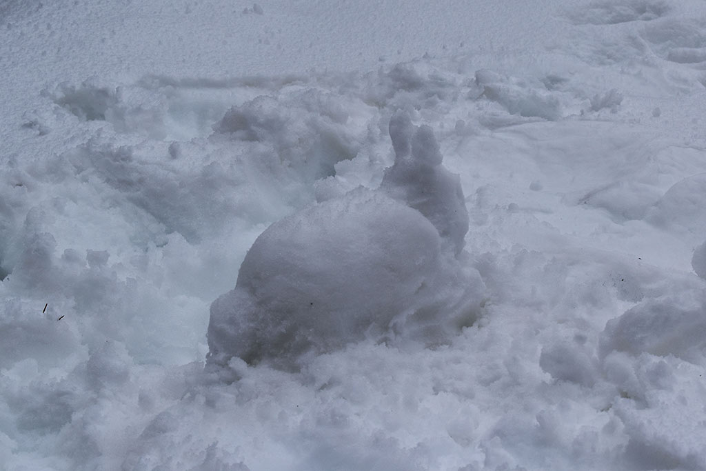 Winter-wonderland-2019 26 winter-wonderland-2019_26