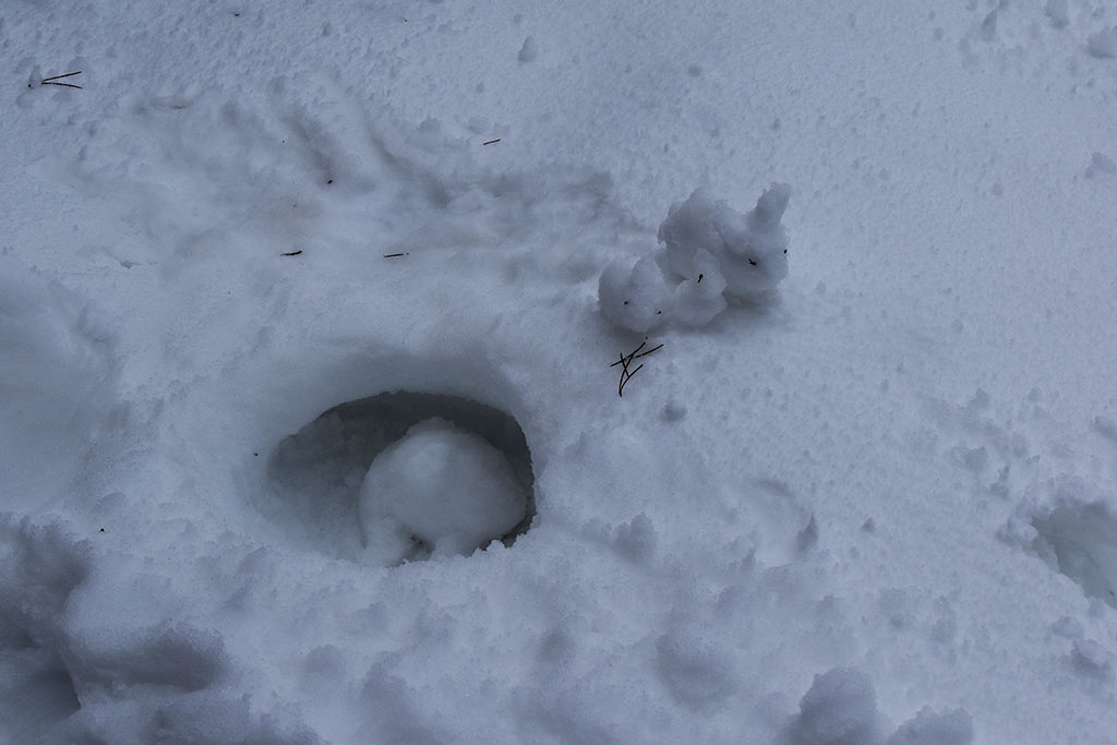 Winter-wonderland-2019 27 winter-wonderland-2019_27