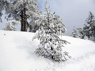 Troodos Winter Wonderland