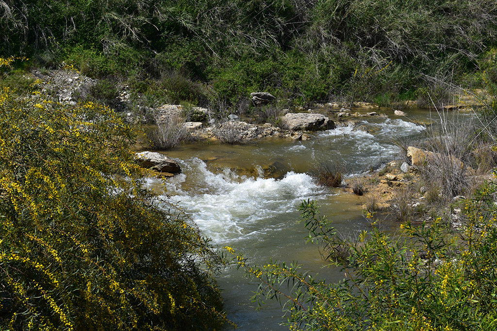 Xeros-river-flows 50 xeros-river-flows_50