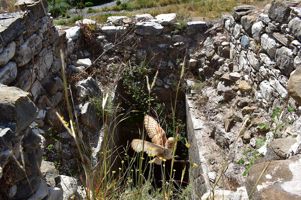 Xeros-river-ruins 31 xeros-river-ruins_31