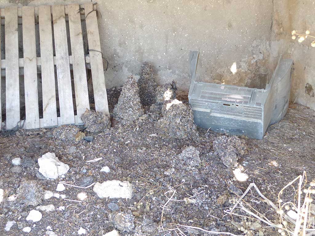 yerokipia_farm_14_inside