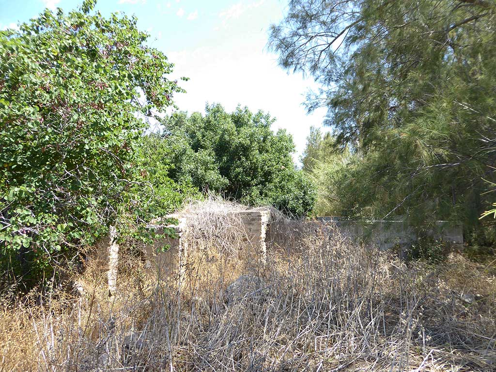 Yerokipia Farm 30 Back yerokipia_farm_30_back