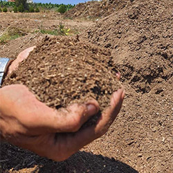 mulched up green waste