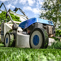 lawnmower man