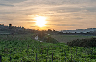 Agios Efraim Walk