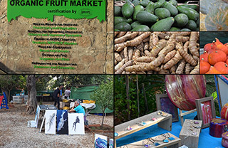 Biolouc Organic Store And Market