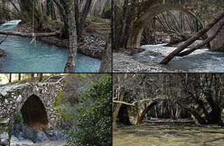 The Camel Trail Venetian Bridges