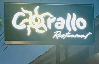 Corallo