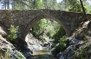 Elia Bridge