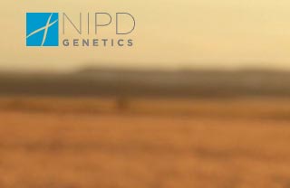 NIPD Genetics