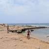 Pachyammos-beach 05