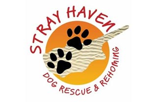 Stray Haven - Polis