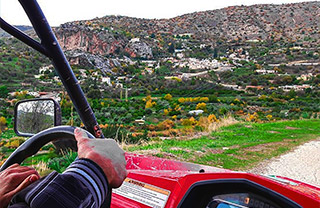 Paphos Village and Hills Buggy Tour