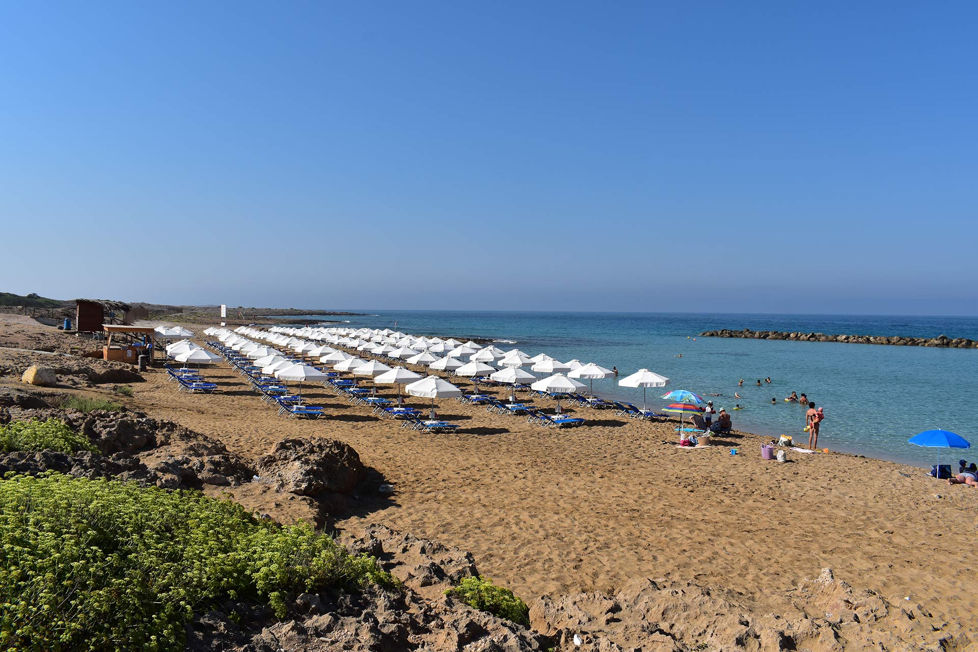 Venus-beach 01 venus-beach_01