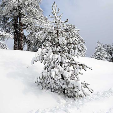 Troodos