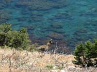 Akamas Near The Blue Lagoon