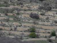 Episkopi Terraces