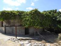 Istinjo 06 Vines