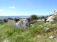 Melandra 04