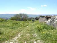Melandra 05