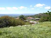 Melandra 13