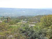 Melandra 21