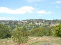 Melandra From Afar 02