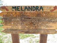 Melandra Signs 01