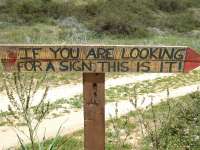 Melandra Signs 02
