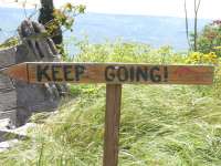 Melandra Signs 03