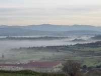 Polemi Vineyard In Morning Mist 02