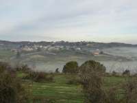 Stroumpi Morning Mist 04