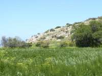 Trimithousa Spring 2017 10