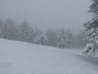 Troodos Snow 2017 15
