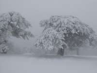 Troodos Snow 2017 17