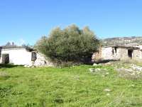 Vretsia 32
