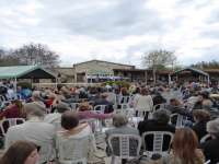 Polemi Tulip Festival 01