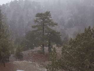 Light snow observed in Troodos mountains