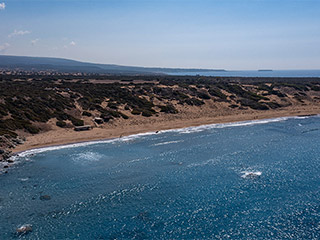Akamas Municipality to host Mediterranean Seal science event