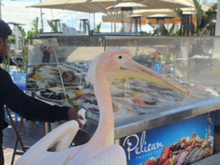 Cyprus Travel Update - March 3rd 2026