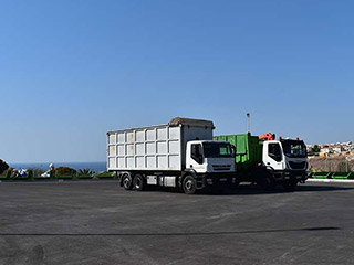 Strays rounded up in Paphos to boost image
