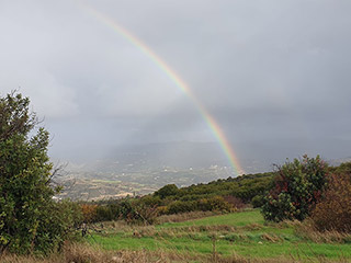 Today’s weather: Partly cloudy, some showers