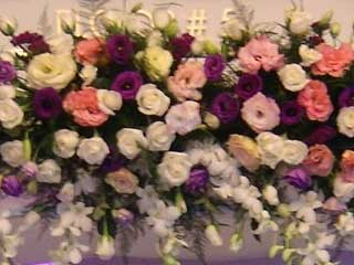 Annivia Gardens Ltd