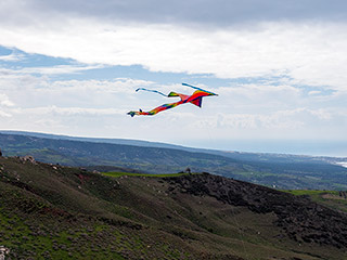 Green Monday Akamas Kite Flying