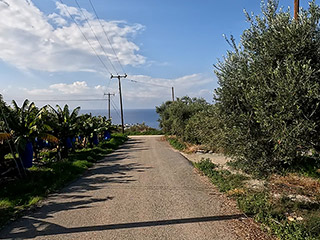 The Tala and Kissonerga Countryside