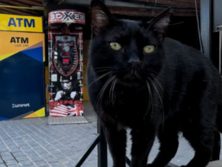 Exploring Paphos: A Scenic Walk from Bar Street to SODAP Beach