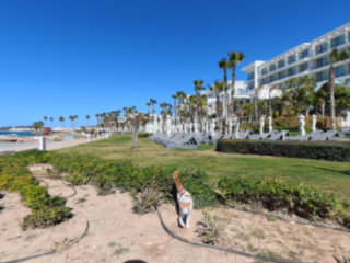 Restaurants and Renovations From Paphos Seafront to SODAP Beach