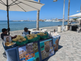 Glorious Sunny Stroll Along Paphos Sea Front And Harbour