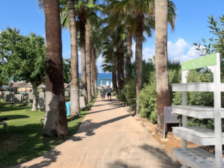 St George's Hotel Area - Paphos, Cyprus - This Morning